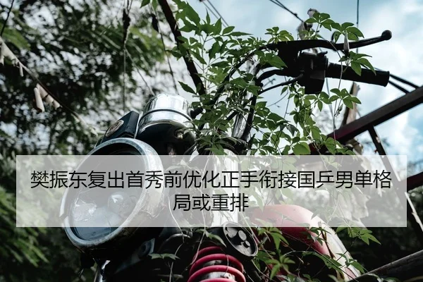樊振东复出首秀前优化正手衔接国乒男单格局或重排